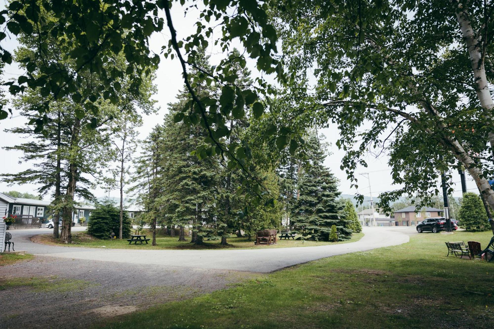 Motel Des Cascades Baie-Saint-Paul Eksteriør bilde